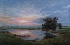 Закат. 2009  орг. масло, акрил , 60х40